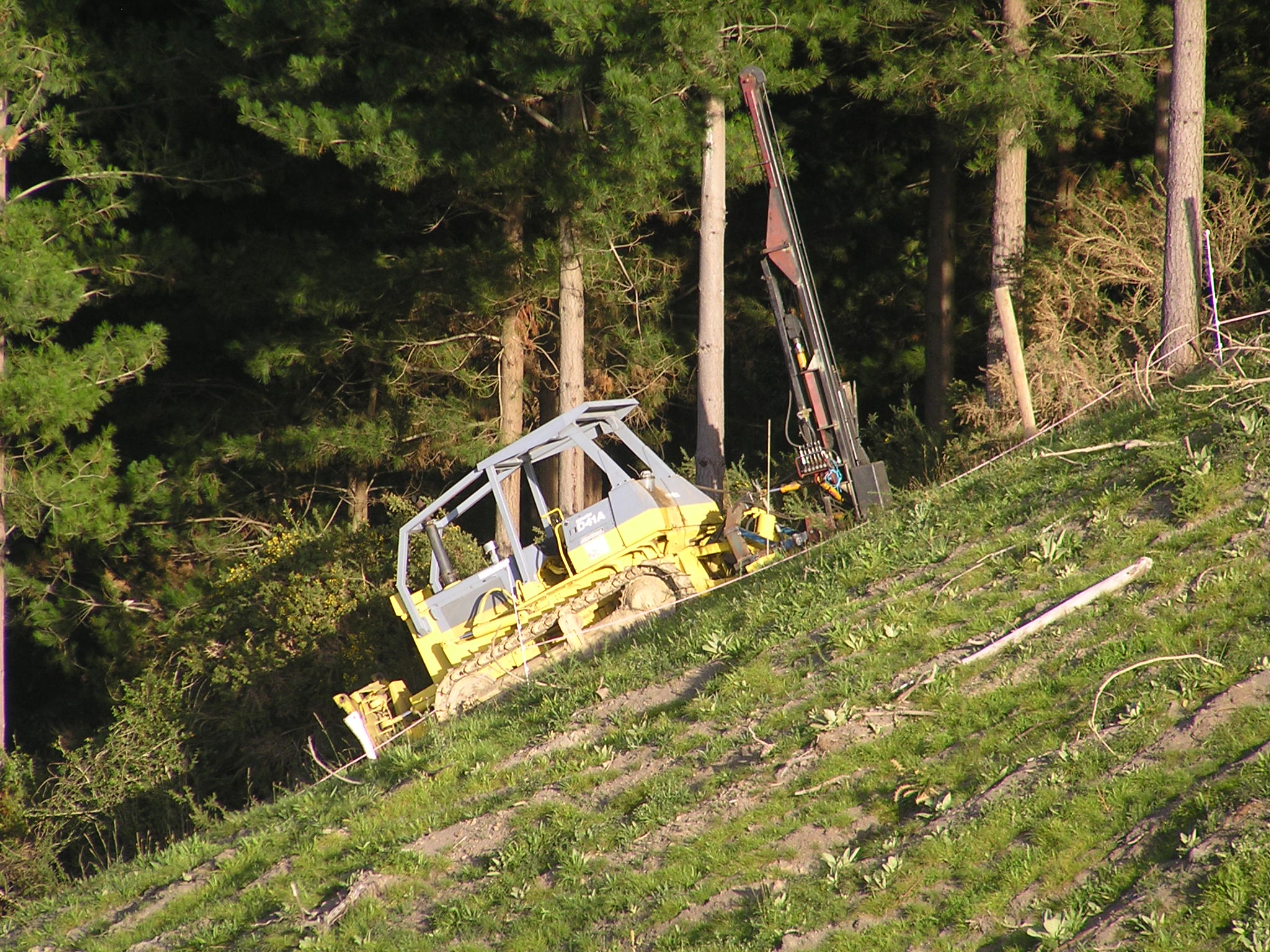 Higgins Farm Fencing in Nelson Tasman