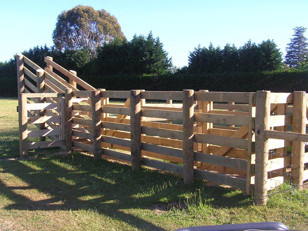 Higgins Farm Fencing in Nelson Tasman