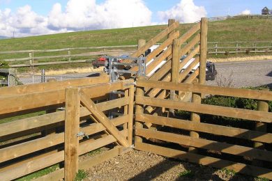 Farm Fencing