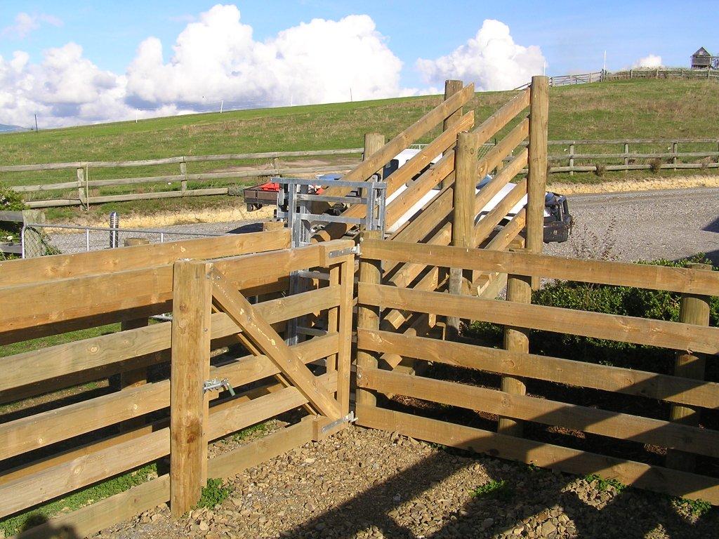 Higgins farm fencing cattleyard