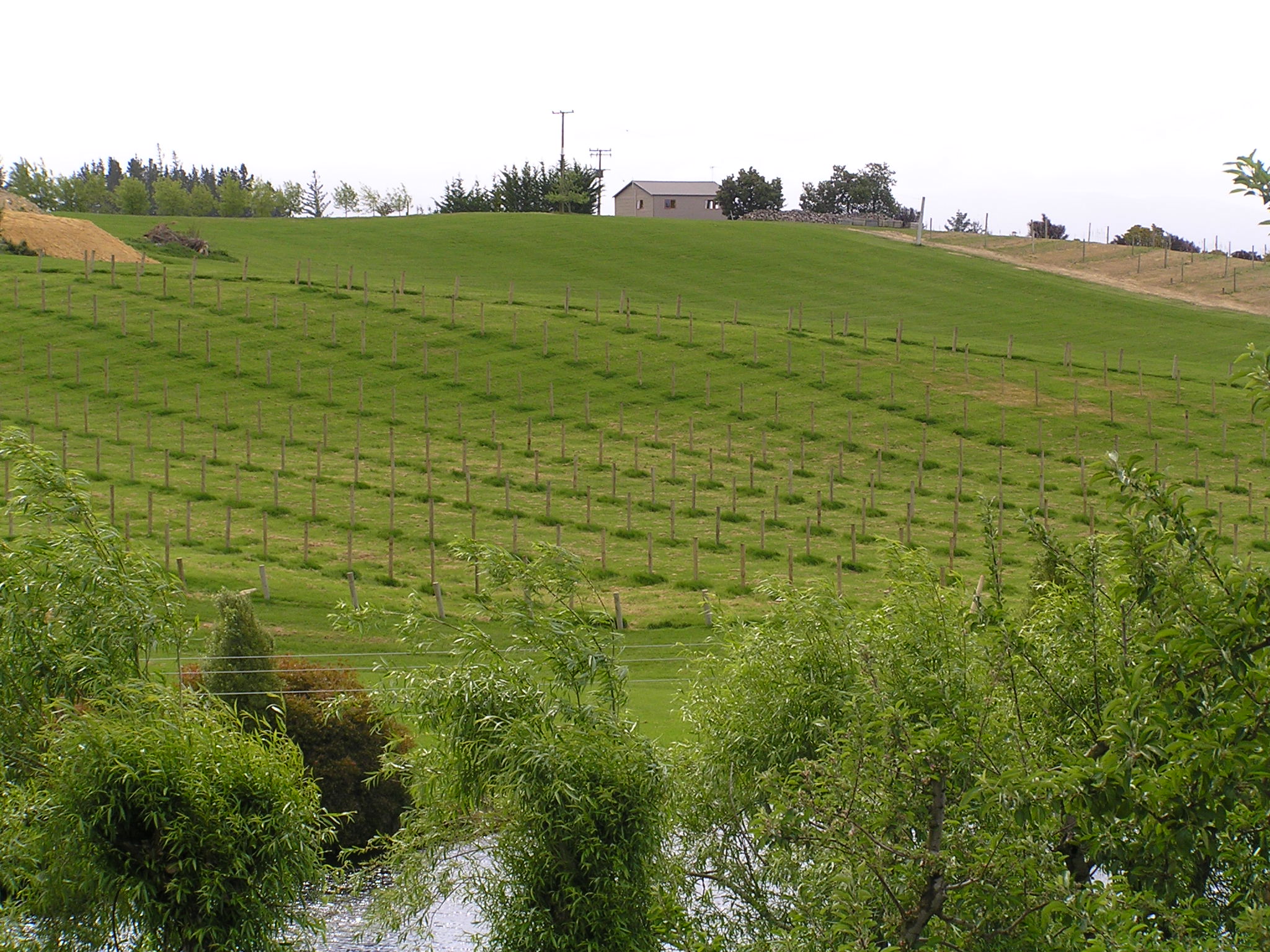 Higgins horticultural and vineyard fencing in Nelson Tasman