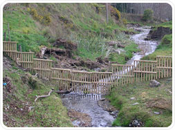 Higgins waterways management fencing in Nelson Tasman