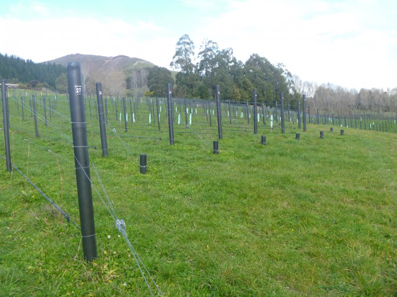 Higgins horticultural and vineyard fencing in Nelson Tasman