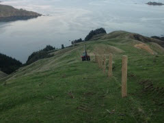 Higgins Farm Fencing in Nelson Tasman