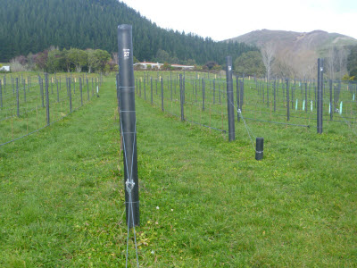 Higgins horticultural and vineyard fencing in Nelson Tasman