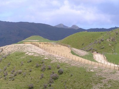 Higgins Farm Fencing in Nelson Tasman