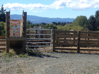 Higgins Farm Fencing in Nelson Tasman