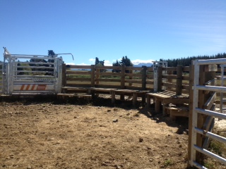 Higgins Farm Fencing in Nelson Tasman