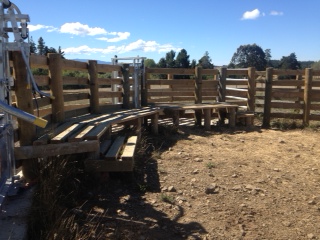 Higgins Farm Fencing in Nelson Tasman